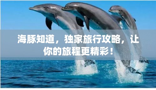 海豚知道，独家旅行攻略，让你的旅程更精彩！