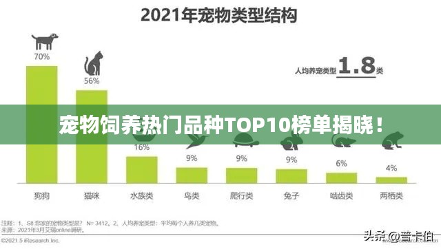 宠物饲养热门品种TOP10榜单揭晓！