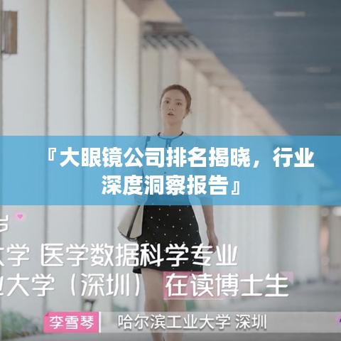 『大眼镜公司排名揭晓，行业深度洞察报告』