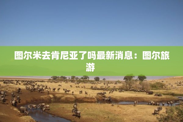 图尔米去肯尼亚了吗最新消息：图尔旅游 