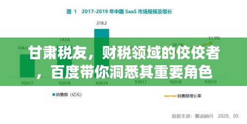 甘肃税友，财税领域的佼佼者，百度带你洞悉其重要角色