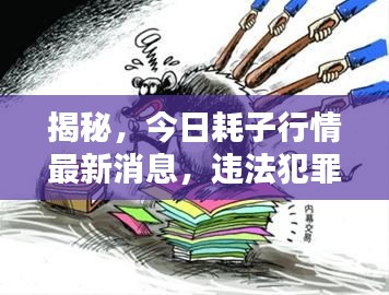 揭秘，今日耗子行情最新消息，违法犯罪背后的真相全揭露！