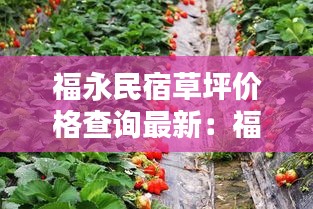 福永民宿草坪价格查询最新：福永附近摘草莓的地方 