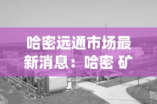 哈密远通市场最新消息：哈密 矿 
