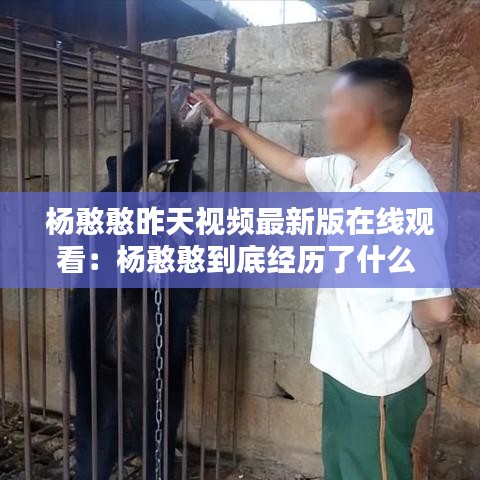 杨憨憨昨天视频最新版在线观看：杨憨憨到底经历了什么 