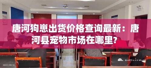 唐河狗崽出货价格查询最新：唐河县宠物市场在哪里? 