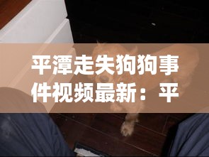 联系我们 第114页