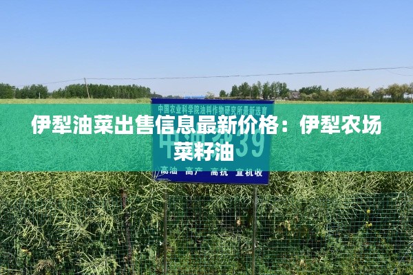 伊犁油菜出售信息最新价格：伊犁农场菜籽油 