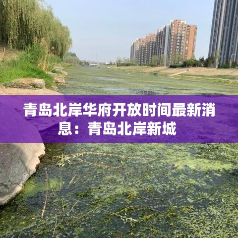 青岛北岸华府开放时间最新消息：青岛北岸新城 