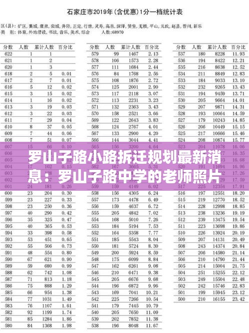 罗山子路小路拆迁规划最新消息：罗山子路中学的老师照片 