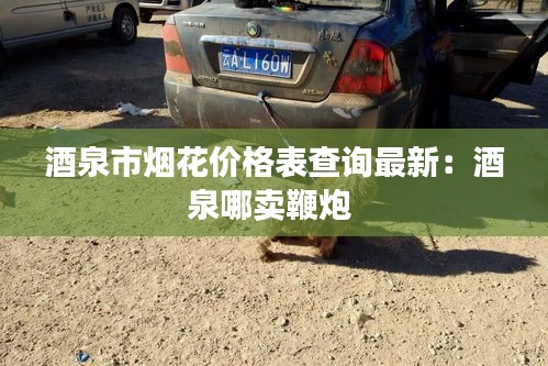酒泉市烟花价格表查询最新：酒泉哪卖鞭炮 
