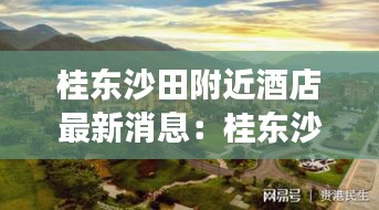 神采奕奕 第3页