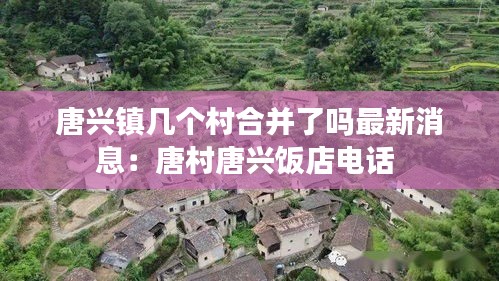 唐兴镇几个村合并了吗最新消息：唐村唐兴饭店电话 