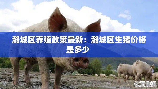 新闻中心 第113页