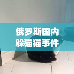 俄罗斯国内躲猫猫事件最新：俄罗斯惊讶猫 