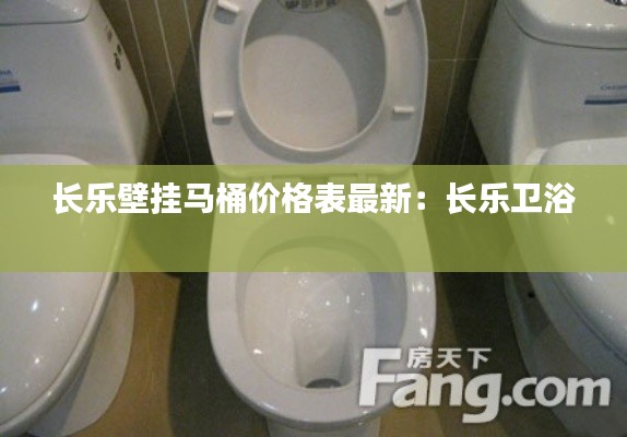长乐壁挂马桶价格表最新：长乐卫浴 