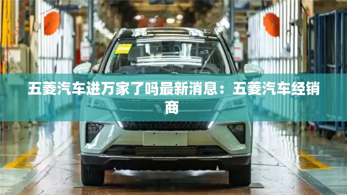五菱汽车进万家了吗最新消息：五菱汽车经销商 