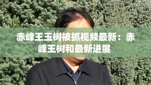 赤峰王玉树被抓视频最新：赤峰王树和最新进展 