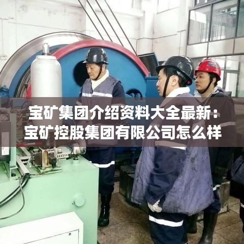宝矿集团介绍资料大全最新：宝矿控股集团有限公司怎么样 