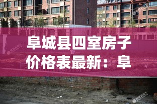 阜城县四室房子价格表最新：阜城县最新楼房出售信息 