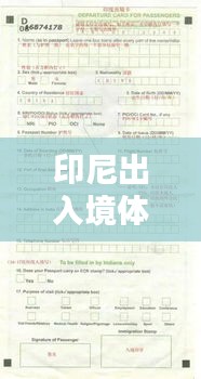 印尼出入境体检项目表最新：印尼出境限制 
