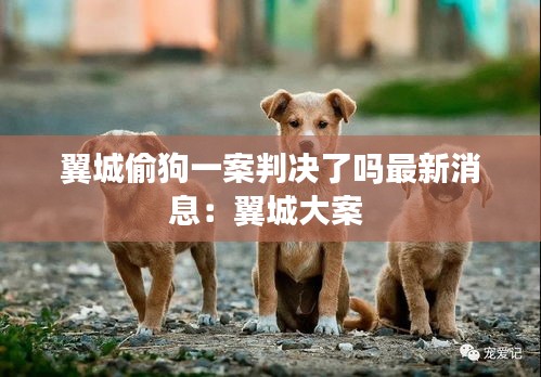 翼城偷狗一案判决了吗最新消息：翼城大案 