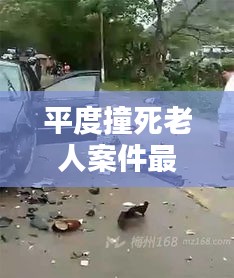 平度撞死老人案件最新情况：平度车祸2021 