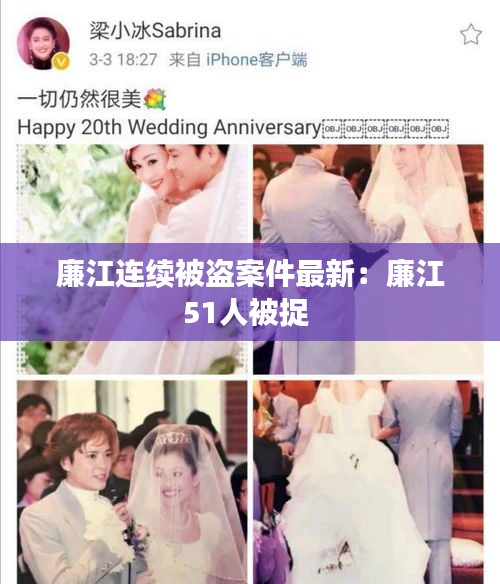 廉江连续被盗案件最新：廉江51人被捉 
