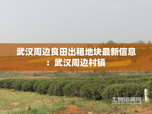 武汉周边良田出租地块最新信息：武汉周边村镇 
