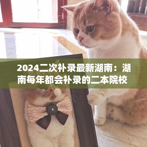 2024二次补录最新湖南：湖南每年都会补录的二本院校 