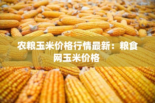 农粮玉米价格行情最新：粮食网玉米价格 