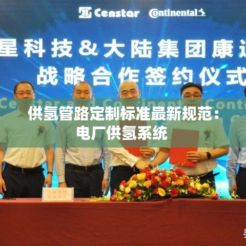 供氢管路定制标准最新规范：电厂供氢系统 