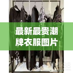 最新最贵潮牌衣服图片女：最贵的服装奢侈品是哪个牌子 