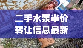 新闻中心 第109页
