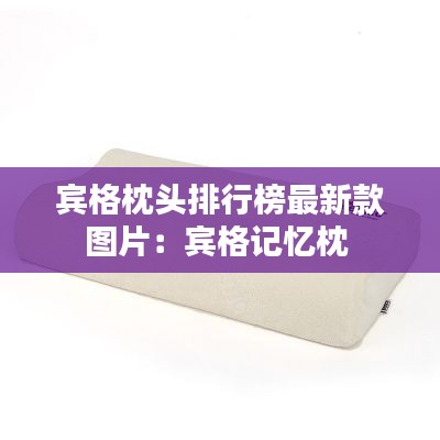 宾格枕头排行榜最新款图片：宾格记忆枕 