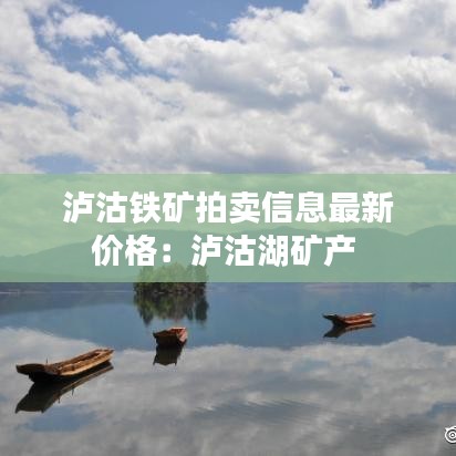 泸沽铁矿拍卖信息最新价格：泸沽湖矿产 