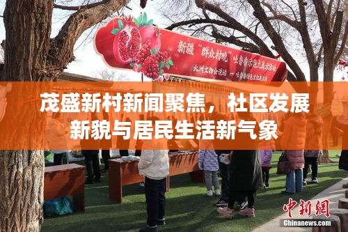 茂盛新村新闻聚焦，社区发展新貌与居民生活新气象
