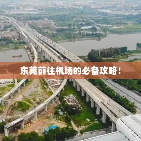 东莞前往机场的必备攻略！
