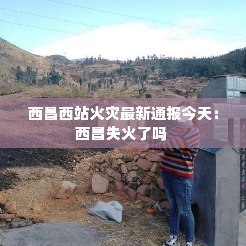 品质保障 第115页