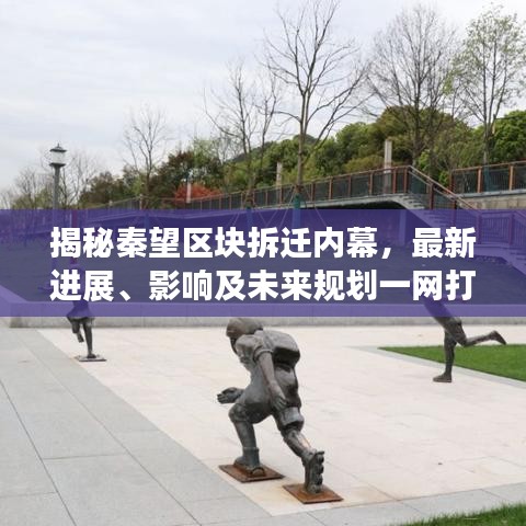 揭秘秦望区块拆迁内幕，最新进展、影响及未来规划一网打尽