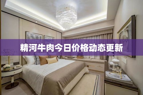 精河牛肉今日价格动态更新