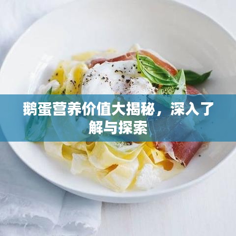 鹅蛋营养价值大揭秘，深入了解与探索