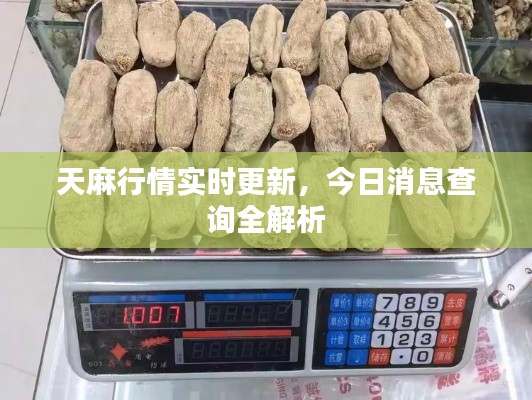 鹤立鸡群 第2页