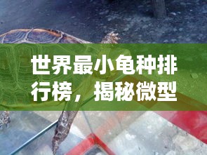 衣不曳地 第2页
