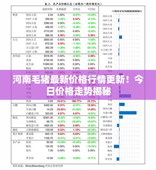 河南毛猪最新价格行情更新！今日价格走势揭秘