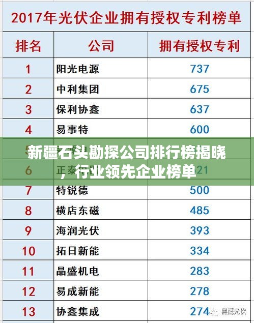 新疆石头勘探公司排行榜揭晓，行业领先企业榜单