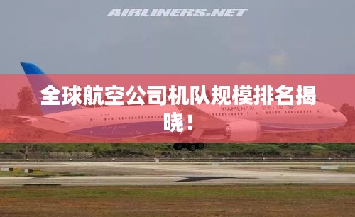 全球航空公司机队规模排名揭晓！