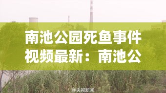 南池公园死鱼事件视频最新：南池公园的景色 