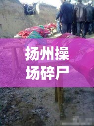 扬州操场碎尸案件视频最新：扬州杀妻碎尸案 