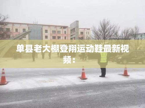 单县老大棚登翔运动鞋最新视频： 